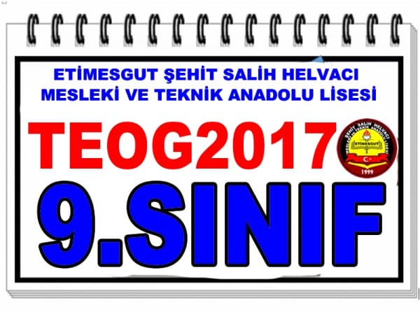 OKULUMUZU KAZANAN 9.SINIF ÖĞRENCİLERİMİZ_TEOG2017