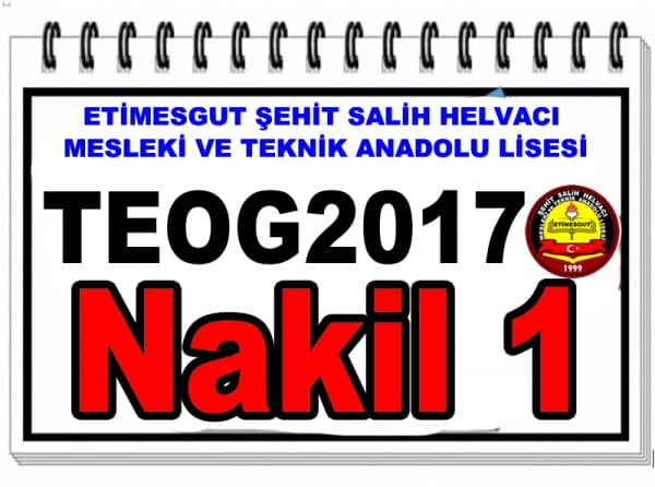 TEOG2017 NAKİL1 OKULUMUZU KAZANAN 9.SINIF ÖĞRENCİLERİMİZ