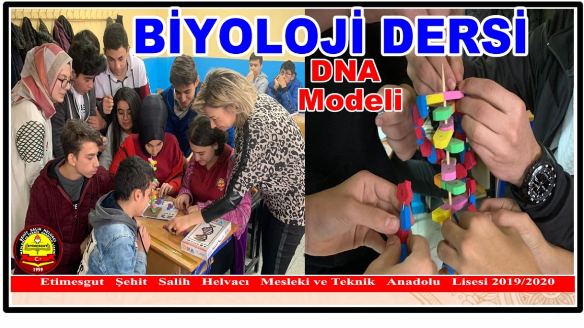 BİYOLOJİ DERSİ; DNA MODELİ